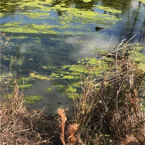 Meet the Posher Other - Meet your Posher, Mint For You!